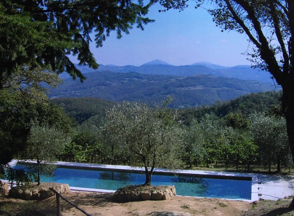  piscina a sfioro con ulivi, di una villa / casale in vendita in umbria